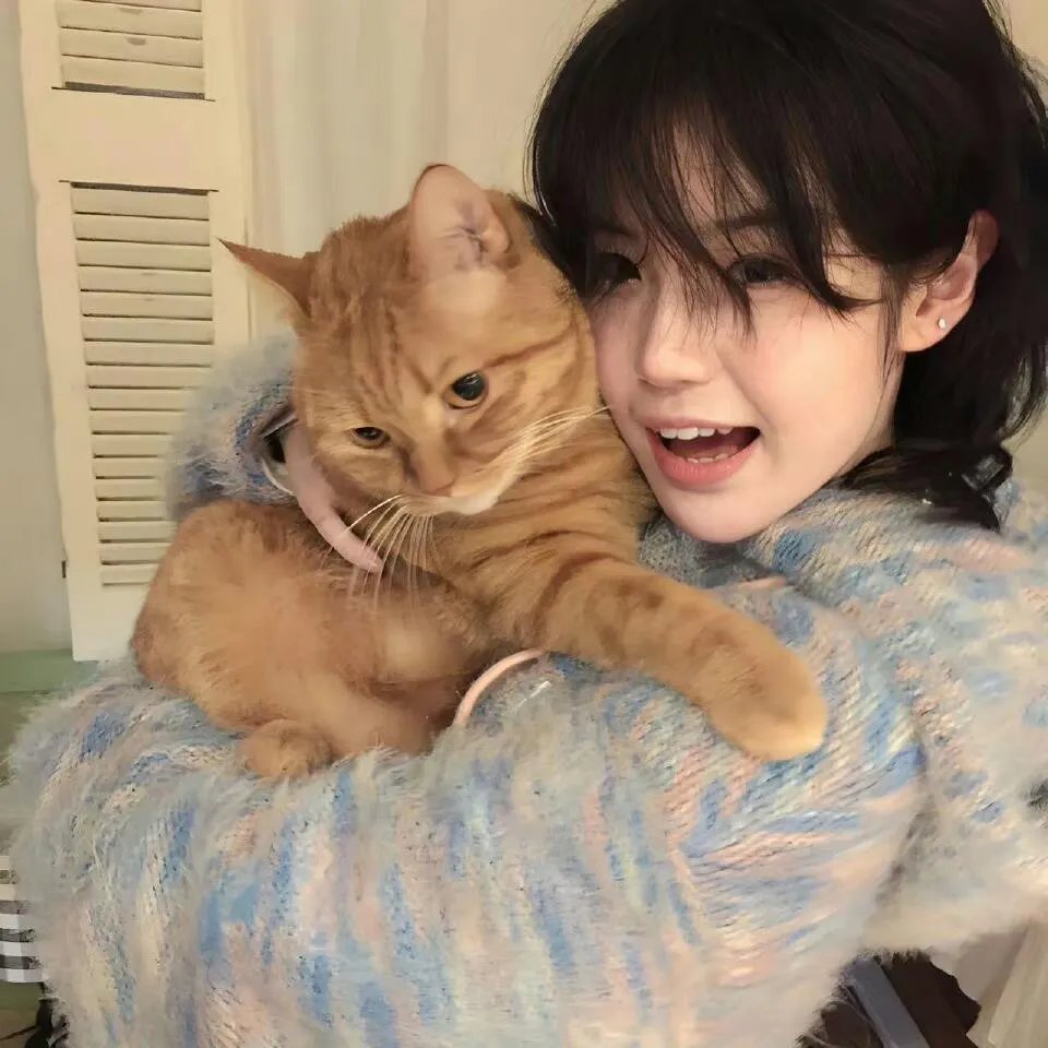 克里斯·海姆斯沃斯：鲨鱼海滩